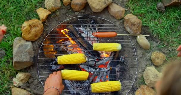 Pohled z vysoké úhlu přátel pražení hot-dogy a kukuřice na táborák. Přátel, kempování společně v lese 4k