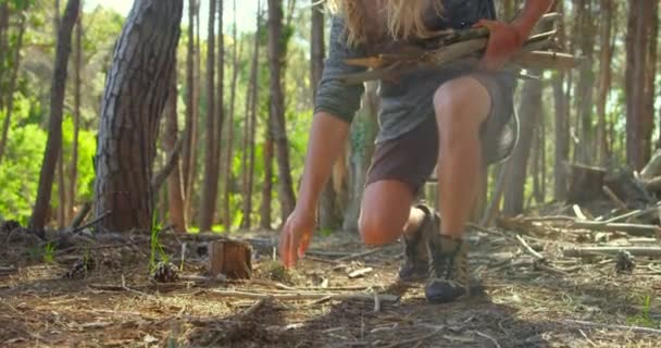 Homem Recolhendo Paus Madeira Floresta Homem Acampando Floresta — Vídeo de Stock