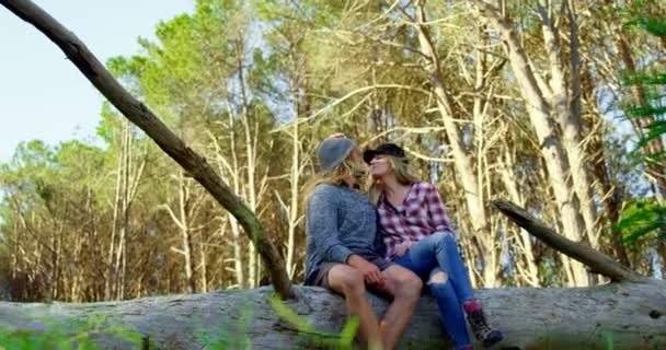 Pareja Joven Romántica Besándose Bosque Pareja Sentada Árbol Tronco — Vídeos de Stock