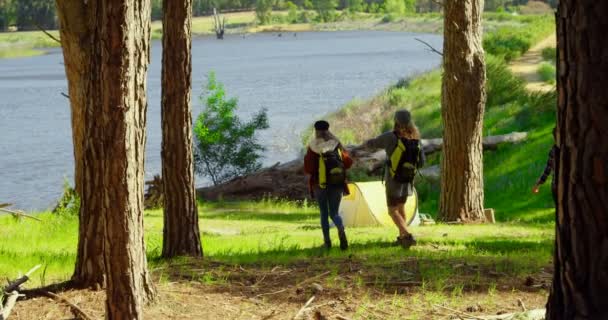 森を歩いている友人のグループのリアビュー の森でキャンプを友人のグループ — ストック動画