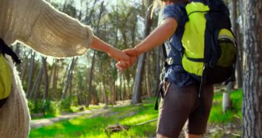 Ormanda çalıştırırken elele çift. 4 k ormanda kamp Çift