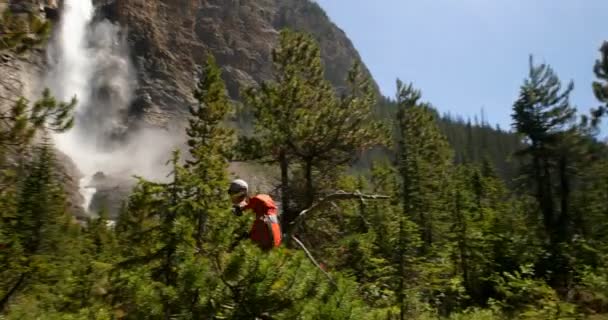 晴れた日に鬱蒼とした森でのハイキングの若い白人男の後姿 で美しい滝 — ストック動画