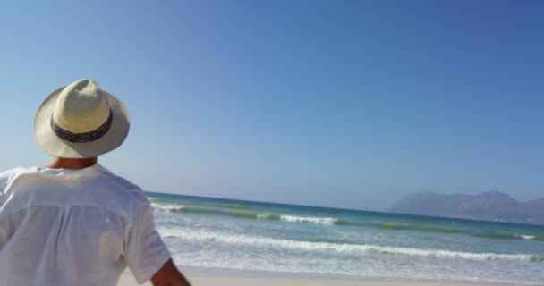 戴帽子的人站在沙滩上 伸出双臂 在海滩4K 的人的后方看法 — 图库视频影像