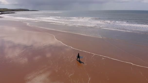 Männliche Surfer Die Einem Sonnigen Tag Mit Surfbrett Strand Spazieren — Stockvideo