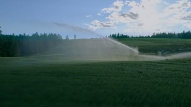 Sulama yağmurlama çiftlik sahasında su püskürtme. otomatik sulama alanı için