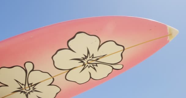 Woman Carrying Surfboard Her Head Beach — Stock Video