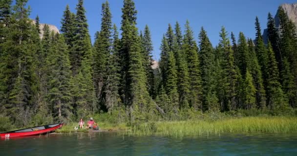 Couple Assis Près Rivière Dans Forêt Par Une Journée Ensoleillée — Video