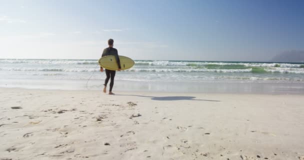 Manliga Surfer Promenader Med Surfbräda Stranden Bakifrån Manliga Surfare — Stockvideo