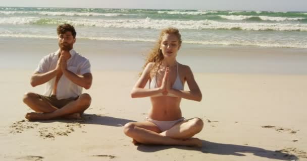 Casal Realizando Ioga Praia Dia Ensolarado Casal Meditando Juntos — Vídeo de Stock