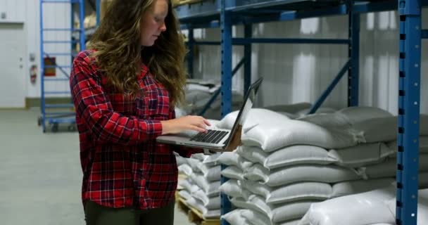 Μπροστινή Άποψη Του Καυκάσιος Γυναίκα Εργαζόμενη Που Εργάζονται Για Laptop — Αρχείο Βίντεο
