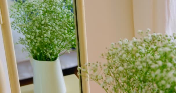 Fiori Vaso Casa Riflessione Del Vaso Fiori Nello Specchio — Video Stock