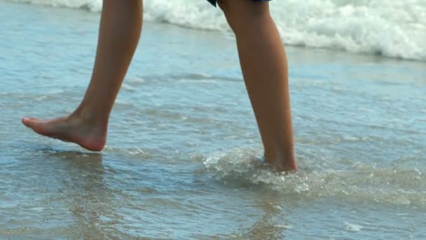 Sección Baja Del Hombre Caminando Sobre Mar Playa Está Caminando — Vídeos de Stock
