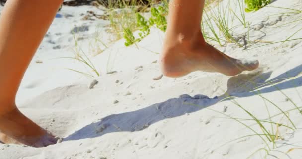 ビーチで砂を歩く女性の低部は 彼女は裸足で砂 走です — ストック動画