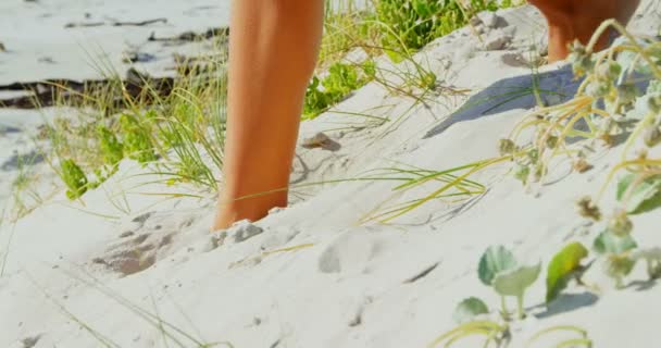 在沙滩上穿过沙滩的妇女的低谷 她赤脚走在沙滩上 — 图库视频影像