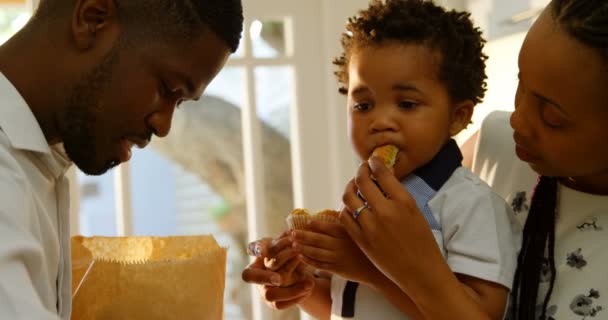 Vooraanzicht Van Voeding Cupcake Jonge Zwarte Moeder Aan Haar Zoon — Stockvideo