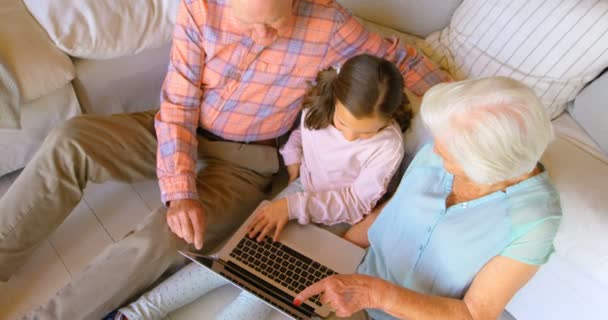 Vista Ángulo Alto Familia Caucásica Multi Generación Usando Ordenador Portátil — Vídeos de Stock