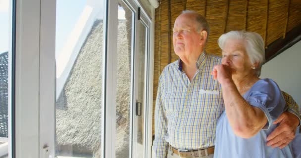 Side View Caucasian Senior Couple Looking Window Comfortable Home Standing — Stock Video