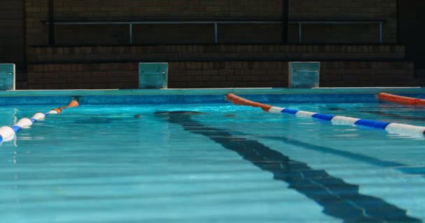 男性スイマーがプールの中水泳します の下で泳ぐ男 — ストック動画