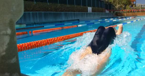 Nadadora Nadando Piscina Nadadora Femenina Nadando Espaldas — Vídeos de Stock