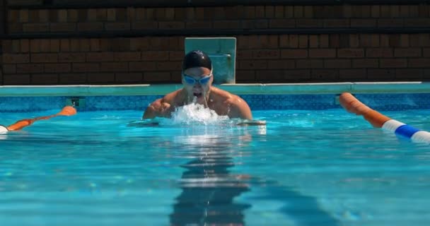 Nadador Masculino Nadando Dentro Piscina Homem Nadando Debaixo Água — Vídeo de Stock