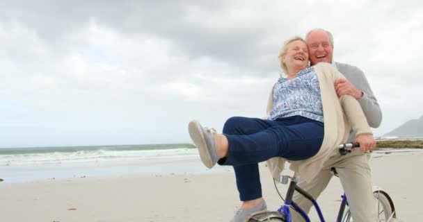 Front View Old Caucasian Senior Couple Sitting Bicycle Beach Smiling — Stock Video