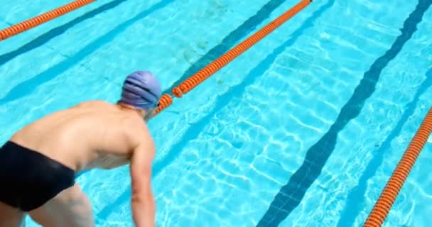 男性スイマーがプールに飛び込みます の水中を泳いで — ストック動画