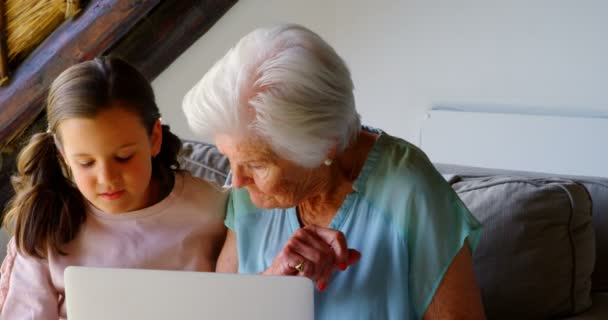 白人のおばあさんと孫娘の快適な家でノート パソコンを使用しての正面 彼らはお互いに に話しています — ストック動画