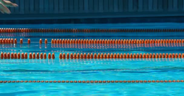 在游泳池里跳游泳的男人和女人 两人都在水下游泳4K — 图库视频影像