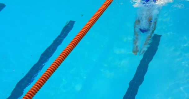 Female Swimmer Jumping Swimming Pool Woman Swimming Underwater — Stock Video