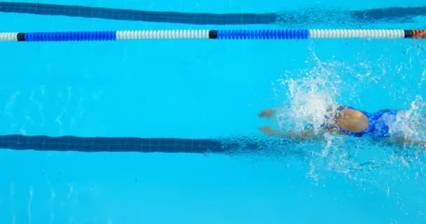 Hochwinkel Ansicht Der Jungen Schwimmerin Die Pool Schwimmt Frau Übt — Stockvideo