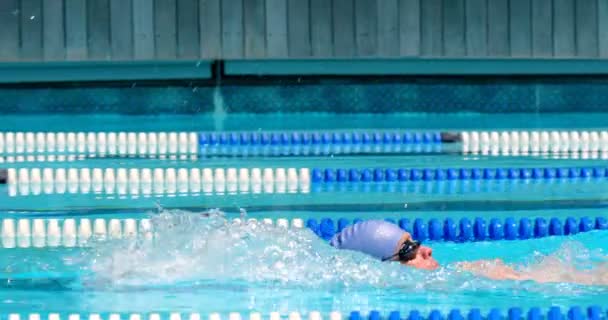 Manliga Simmare Simning Inuti Poolen Man Simmar Från Bakåt — Stockvideo