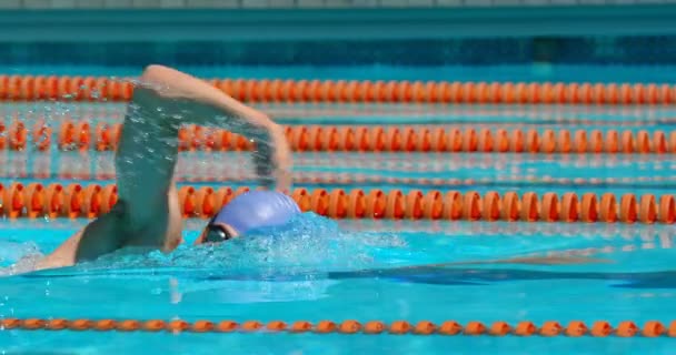 Nuotatore Sesso Maschile Nuoto All Interno Della Piscina Uomo Che — Video Stock