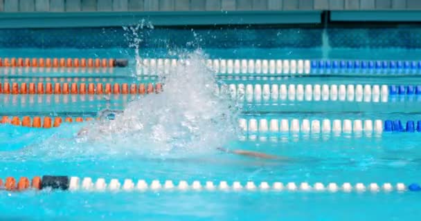 Nadador Masculino Nadando Dentro Piscina Hombre Nadando Bajo Agua — Vídeos de Stock