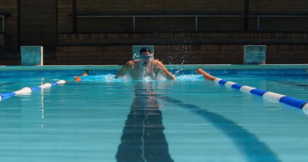 Male Swimmer Swimming Pool Man Swimming Water — Stock Video