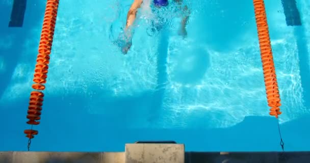 Plavkyně Plavání Bazénu Plavkyně Praktikující Převrátit Otočit — Stock video