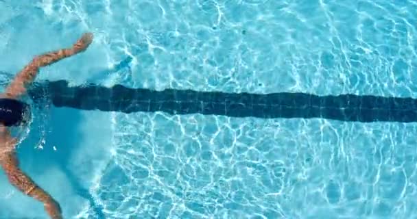Мужчина Плавает Бассейне Человек Плавает Водой — стоковое видео