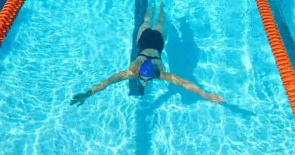 Female Swimmer Swimming Pool Woman Practicing Swimming Pool — Stock Video