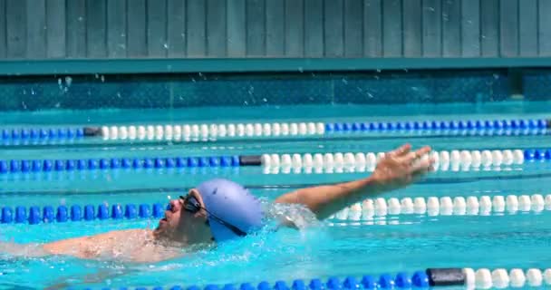Nadador Masculino Nadando Piscina Nadador Masculino Nadando Desde Atrás — Vídeos de Stock