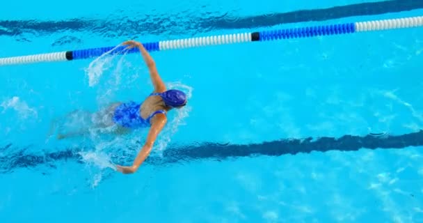 若い女性スイマー プール水泳の高角度のビュー 女蝶様式 の練習 — ストック動画