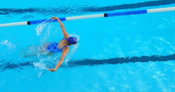 Vue Angle Élevé Jeune Nageuse Nageant Dans Piscine Femme Pratiquant — Video