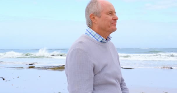 Zijaanzicht Van Oude Kaukasische Senior Man Lopen Strand Hij Glimlachen — Stockvideo