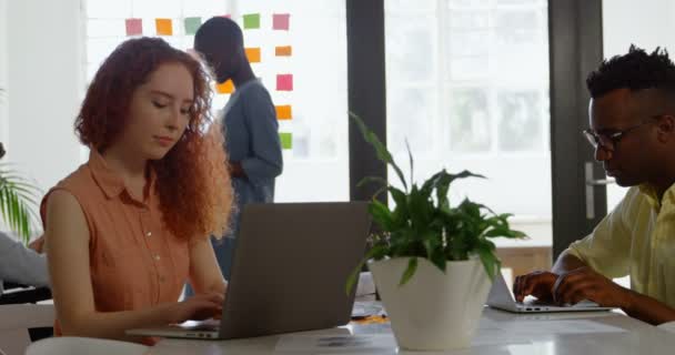 Yan Masada Oturan Modern Bir Ofiste Çalışan Genç Karışık Irk — Stok video