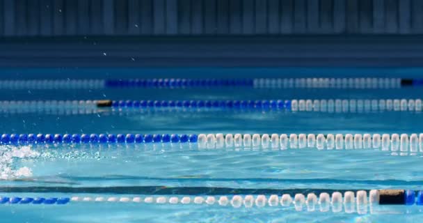 Nadadora Nadando Dentro Piscina Natación Femenina Practicando Freestyle — Vídeos de Stock