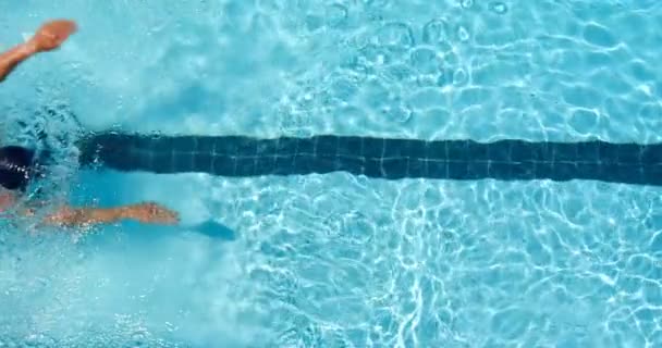 Nadador Masculino Nadando Dentro Piscina Hombre Nadando Bajo Agua — Vídeo de stock