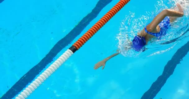 若い女性スイマーがプールの中水泳します 女性練習フリー スタイル — ストック動画