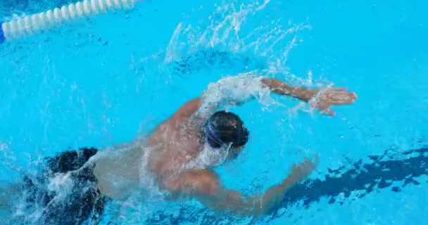 Vista Alto Angolo Nuoto Maschile Piscina Interna Nuotatore Maschile Che — Video Stock