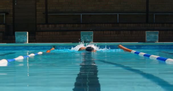 Nadador Masculino Nadando Dentro Piscina Homem Nadando Debaixo Água — Vídeo de Stock