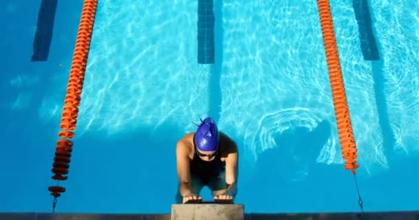 Hög Vinkel Syn Kvinnliga Simmare Simning Inuti Poolen Kvinnliga Simmare — Stockvideo