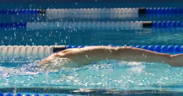 Joven Nadadora Nadando Dentro Piscina Mujer Practicando Freestyle — Vídeos de Stock