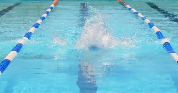 Nadador Masculino Nadando Dentro Piscina Homem Salpicando Água Enquanto Piscina — Vídeo de Stock